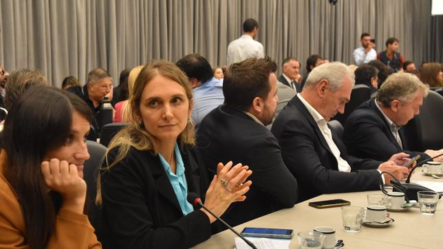 La diputada Gabriela Brouwer de Koning (UCR), lidera el debate de movilidad jubilatoria que complica a Javier Milei.&nbsp;