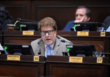 Diego Garciarena (UCR), diputado de la Legislatura bonaerense.