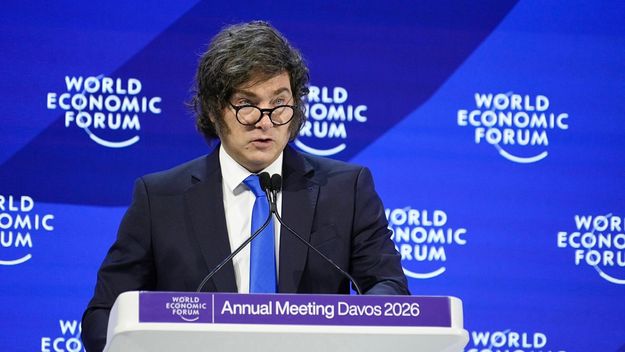 Javier Milei, durante su discurso en Davos.&nbsp;