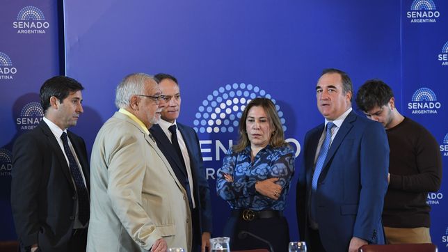 Juan Carlos Pagotto,&nbsp; en la Comisión de Acuerdos, donde se tratan los pliegos de Mahiques.&nbsp;