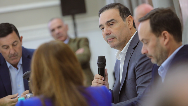 Gustavo Valdés, gobernador de Corrientes. 