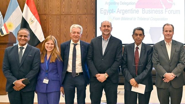 Los gobernadores Omar Perotti y Gustavo Bordet en un encuentro con autoridades de Egipto.