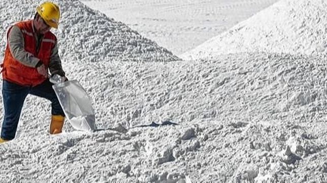 la quimera del oro blanco