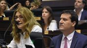 legislatura bonaerense: mudanza y liderazgos emergentes en la ucr