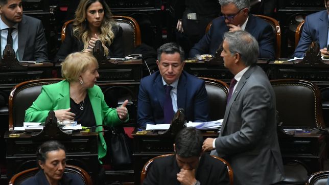 Silvana Giudici, Gabriel Bornoroni y Nicolás Mayoraz (La Libertad Avanza).&nbsp;