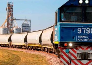 Belgrano Cargas: la privatización sufre más demoras