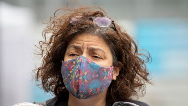 vizzotti asume este sabado en olivos como ministra de salud