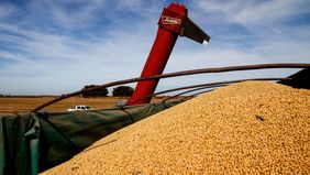 El granero de Alberto: crisis mediante, la agrodependencia es la mayor desde 1986