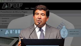Ricardo Echegaray integra una de las listas que busca quedarse con la conducción del gremio de la Aduana en las elecciones de agosto. En otra de las nóminas, está Ianina Michel, empleada que hace once años trabaja allí, y hermana del último jefe peronista del organismo. 