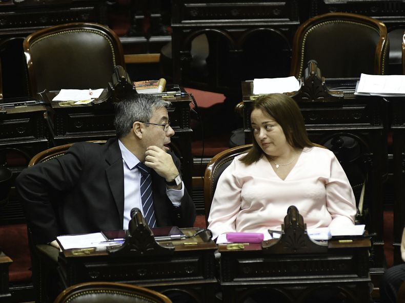 Germán Martínez y Cecilia Moreau, de Unión por la Patria. Quieren acelerar las leyes de los gobernadores.&nbsp;