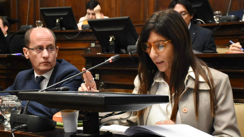 Natacha Eisenchlas, titular del bloque Cambia Mendoza en el Senado provincial. 