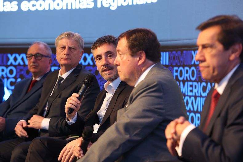 Ignacio Lamothe y Alberto Weretilneck, en el centro del panel de gobernadores. 