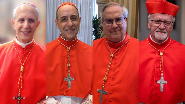 Cardenales argentinos que votarán al sucesor del papa Francisco: Poli, Fernández, Rossi y Bokalic