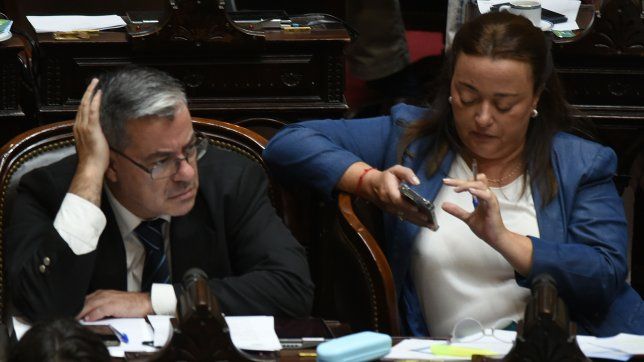 Germán Martínez y Cecilia Moreau, de Unión por la Patria. 