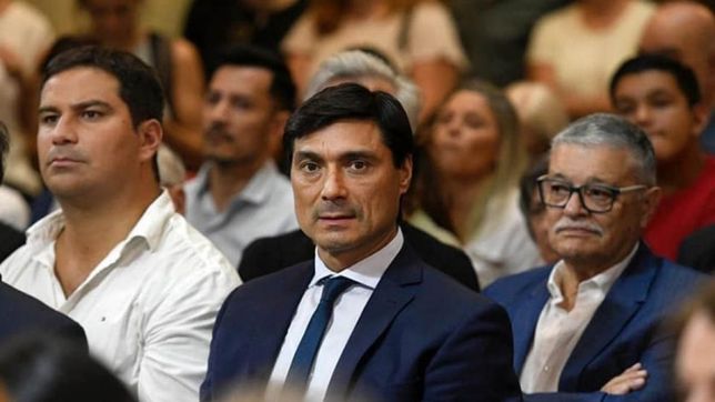 Pablo Ansaloni, diputado.