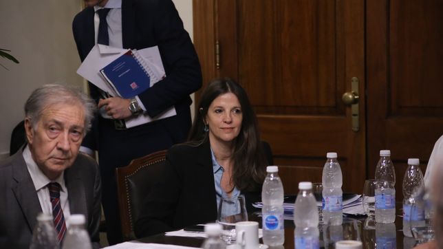 fiscalia de rosario: la legislatura evalua las chances de iribarren de reencauzar el caos