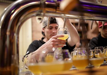 El negocio cervecero en la era Javier Milei