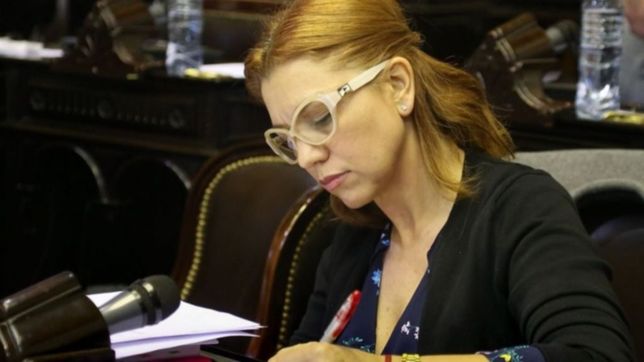 acuerdo con el fondo por decreto: diputada radical banca el proyecto de la cc