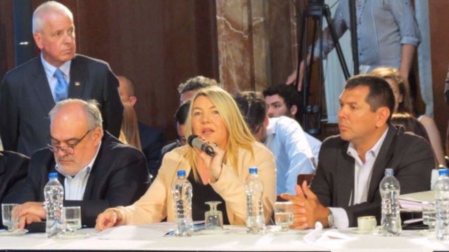 bertone reafirma sus criticas a la rosada: tienen una posicion centralista