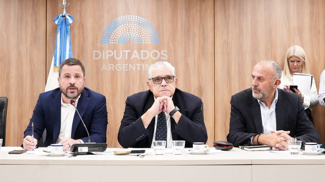 Martín Tetaz (UCR), Ricardo López Muprhy (Republicanos Unidos) y Sergio Eduardo Capozzi (PRO)&nbsp;