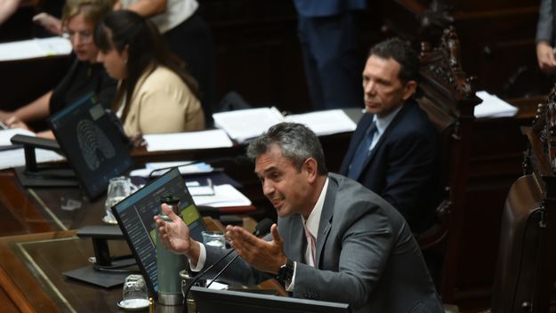 Martín Menem, presidente de la Cámara de Diputados.