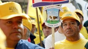 Mar del Plata: trabajadores luchan por salvar una empresa láctea