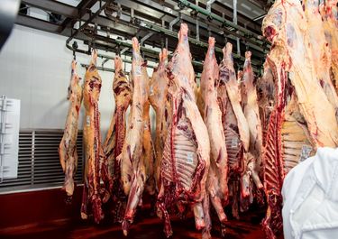 Los frigoríficos de La Pampa cruzaron a Weretilneck y confían en Caputo para voltear la barrera sanitaria