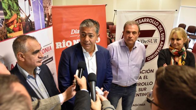 los vices rebeldes insisten con un frente patagonico