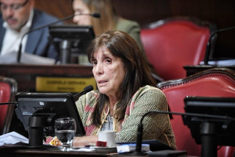 Teresa García, jefa del bloque UP en el Senado.