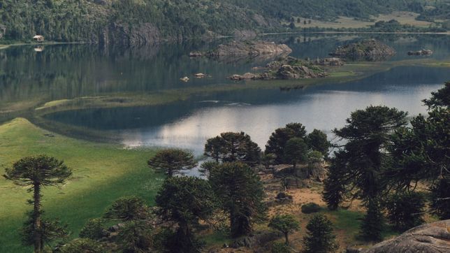 Neuquén: políticos y empresarios, detrás de la venta ilegal de tierras en Pulmarí