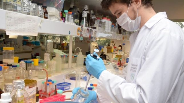 los laboratorios rechazan un congelamiento de precios para el sector