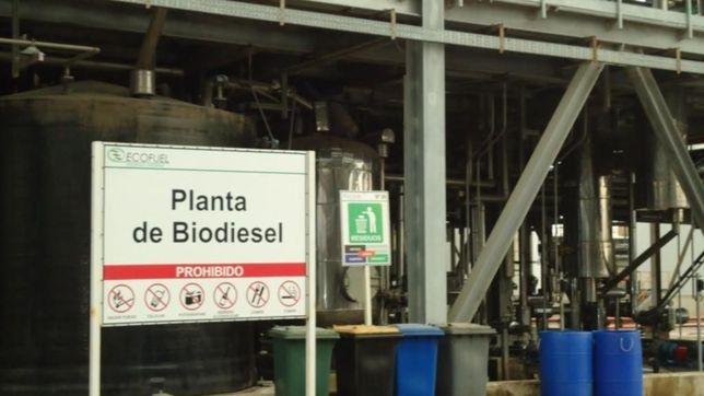 el gobierno subio por decreto al 15% las retenciones al biodiesel