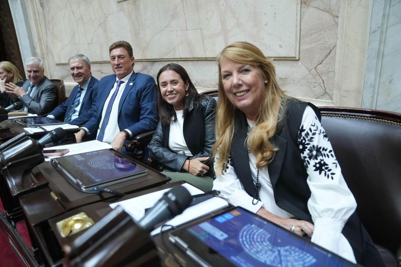 El bloque de Martín Llaryora en la Cámara de Diputados 