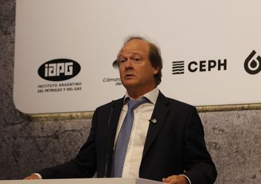 Daniel González anunció el RIGI Vaca Muerta