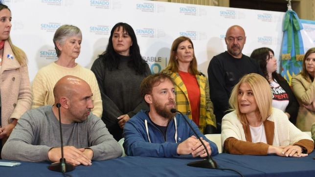 entre lagrimas, el oficialismo legislativo llama a marchar por cristina