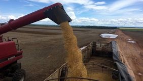 Retenciones: sojeros piden mantener la baja para tener previsibilidad
