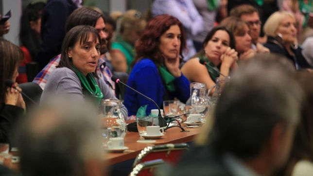 en un dia historico, diputados inauguro el debate por la ley de aborto