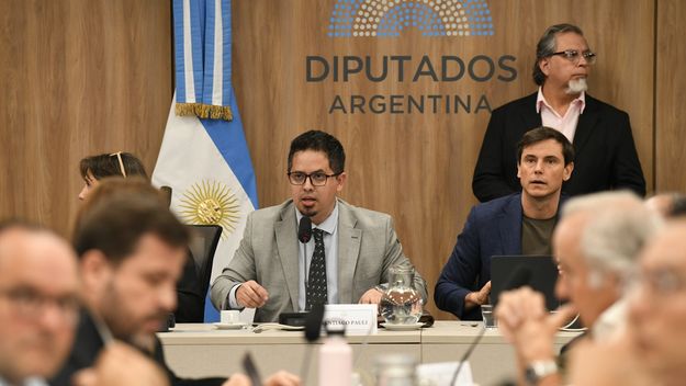 Santiago Pauli, diputado de La Libertad Avanza.&nbsp;
