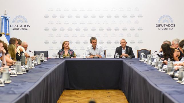 Martín Menem, en su primera reunión de labor parlamentaria, para tratar la Ley Ómnibus.&nbsp;