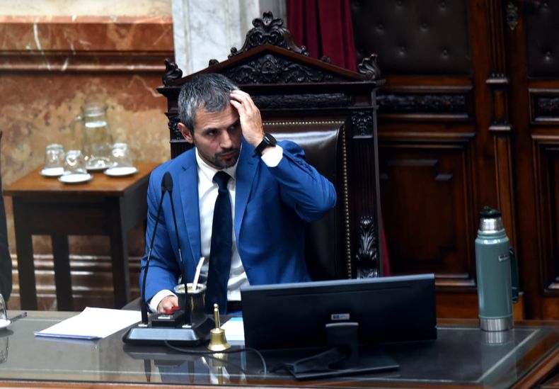 Martín Menem, titular de la Cámara de Diputados.