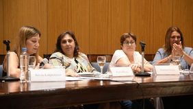El Congreso importa de Brasil la ficha limpia y la polémica sobre su legalidad