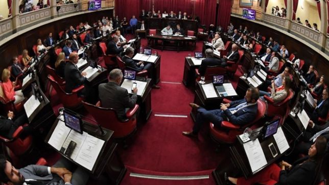 el senado voto el presupuesto y endeudamiento que pidio vidal