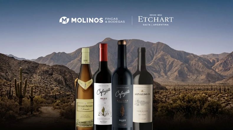 Salta: Molinos expande sus negocios y acuerda la compra de la bodega Etchart.
