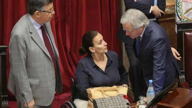 cambiemos da el si en el senado para aprobar la emergencia alimentaria