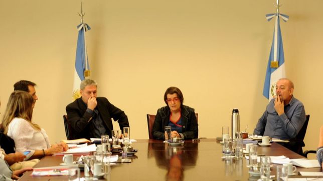 neuquen: tratan adhesion provincial al regimen de responsabilidad fiscal