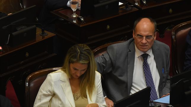 Pablo Blanco,&nbsp; senador de la UCR, autor del proyecto para investigar a Javier Milei.&nbsp;