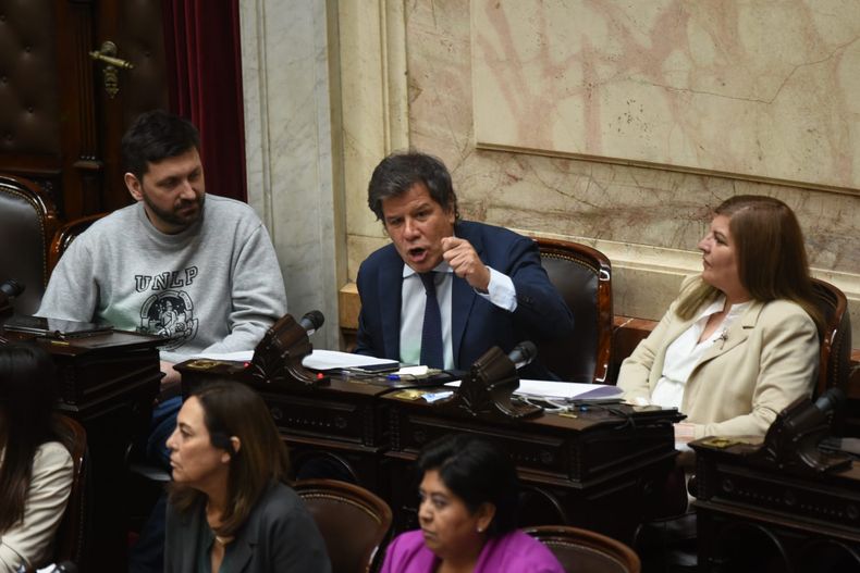 Facundo Manes, diputado del bloque UCR.