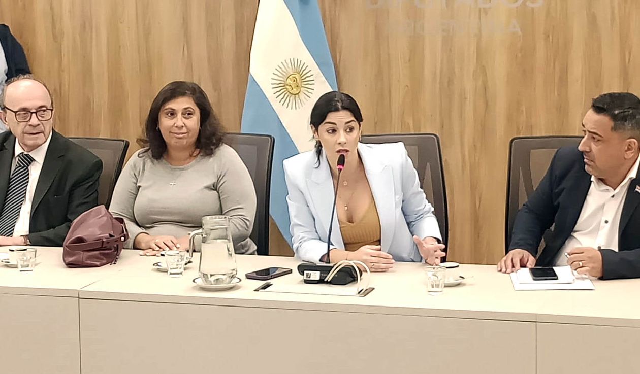 Marcela Pagano en la reunión de la comision de juicio politico de la Cámara de Diputados para designar autoridades.