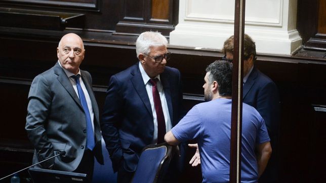 Legislatura bonaerense, Cámara de Diputados.