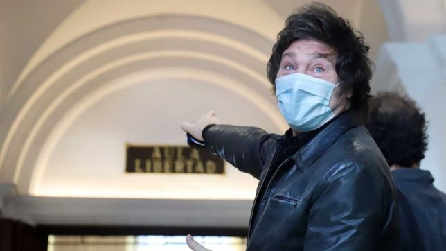 la sinapsis regional de la rabia organizada